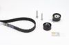 Timing Belt Kit PSA - 0831.K1