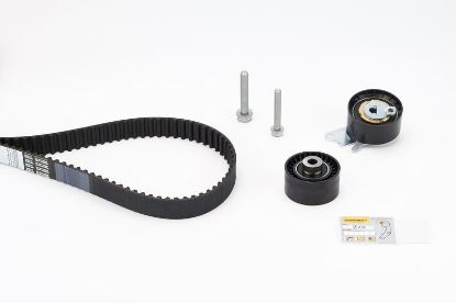 Timing Belt Kit PSA - 0831.K1