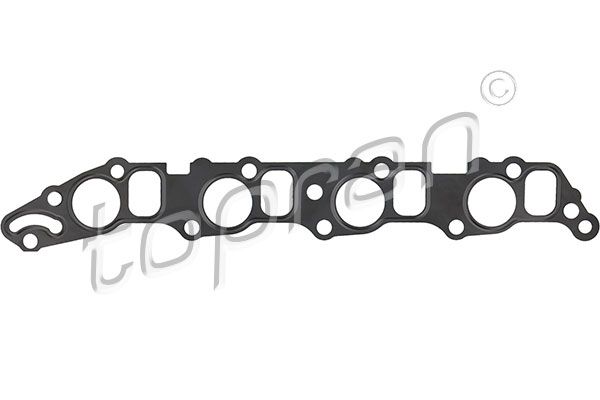 Gasket, intake manifold Opel, Fiat, General Motors