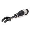 Air Suspension Strut 12-16 MB GL-Class (X166) 1663205066