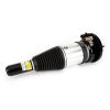 Air Suspension Strut
