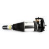 Air Suspension Strut