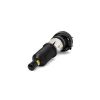 Air Suspension Strut audi a6