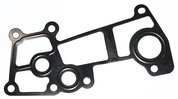 Gasket, coolant flange Iveco