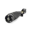 Air Suspension Strut Land Rover 10-12 esi parem LR032560