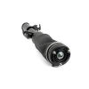 Air Suspension Strut Land Rover 10-12 esi parem LR032560