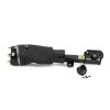 Air Suspension Strut Land Rover 10-12 esi parem LR032560