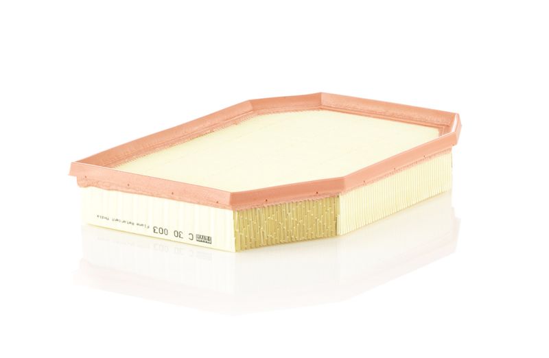 Air Filter BMW 5 (F10, F18), 5 Touring