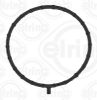 Seal, camshaft sealing cover CUMMINS 5558393