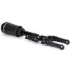 Air Suspension Strut 06-11 Mercedes-Benz ML-Class (ML63 AMG)