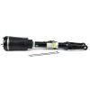 Air Suspension Strut 06-11 Mercedes-Benz ML-Class (ML63 AMG)