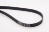 V-Ribbed Belt VAG - 059 903 137H