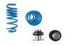 Suspension Kit, springs/shock absorbers