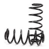 Suspension Kit, springs/shock absorbers 00-06 Various Short Wheelbase GM SUVs