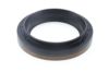 Shaft Seal, differential