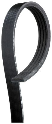 V-Ribbed Belt FORD - 1 059 982