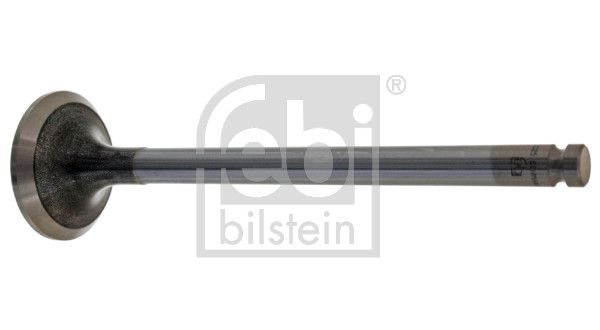 Exhaust Valve Fiat PKW 4826033