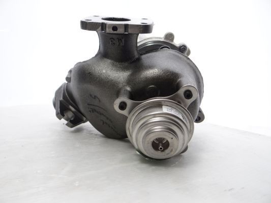 Charger, charging (supercharged/turbocharged)