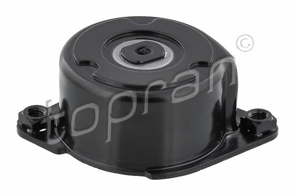 Belt Tensioner, V-ribbed belt BMW/MINI