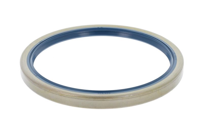 Shaft Seal, differential PSAO 40000480