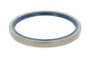 Shaft Seal, differential PSAO 40000480