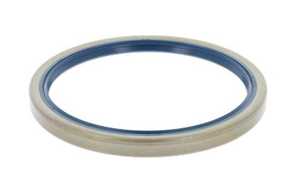 Shaft Seal, differential PSAO 40000480