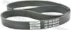 V-Ribbed Belt GM 25183023, ISUZU 5-86686-721-0, NISSAN 11720-31U