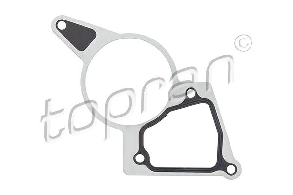 Gasket, vacuum pump MONDEO III (B5Y), TRANSIT TOURNEO