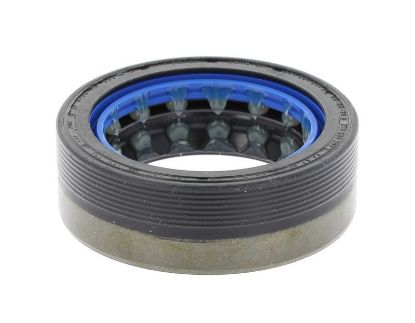 Shaft Seal, wheel hub