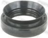 Shaft Seal, drive shaft NISSAN 38189-4N20A