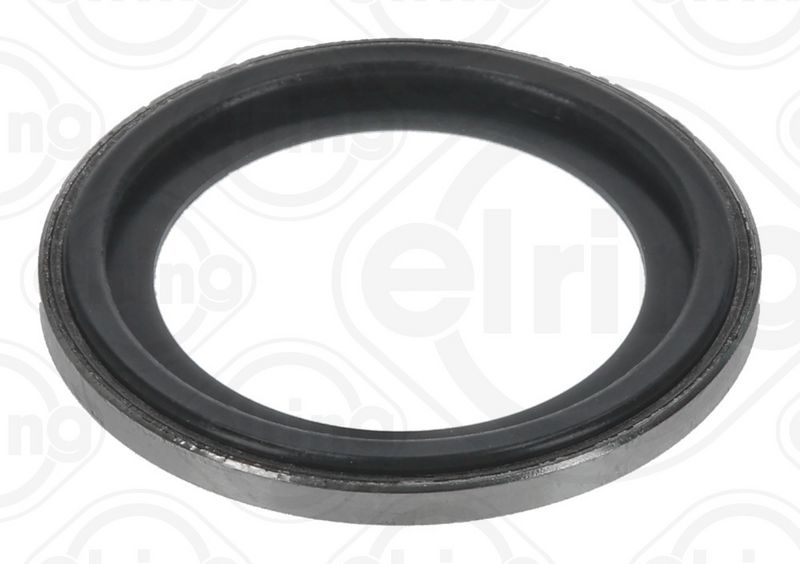 Seal, Oil pipe GM 15217990