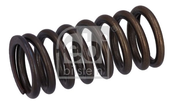 Valve Spring DAF 1386 180