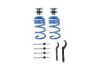 Suspension Kit, springs/shock absorbers