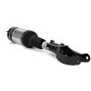 Air Suspension Strut