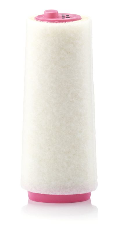 Air Filter BMW 3 (E46), 3 (E90), 5 (E60)