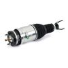 Air Suspension Strut 13- RAM 1500 REBEL (DS) - LT/RT