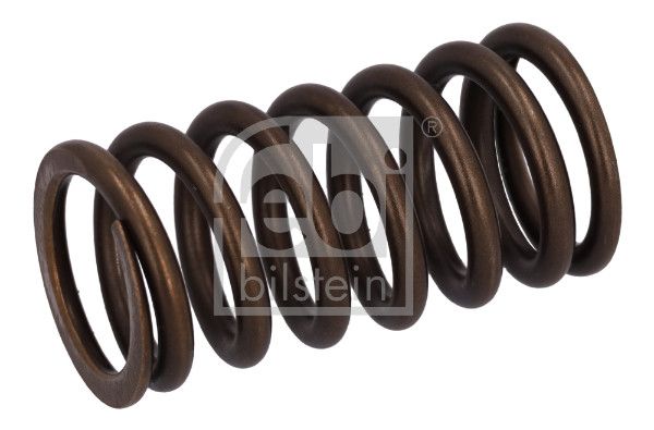 Valve Spring DAF 1284 432