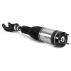 Air Suspension Strut Front Lt Air Strut Mercedes - 12-15 GL & 15-19 GL