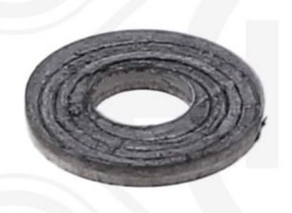 Seal Ring, nozzle holder Daf