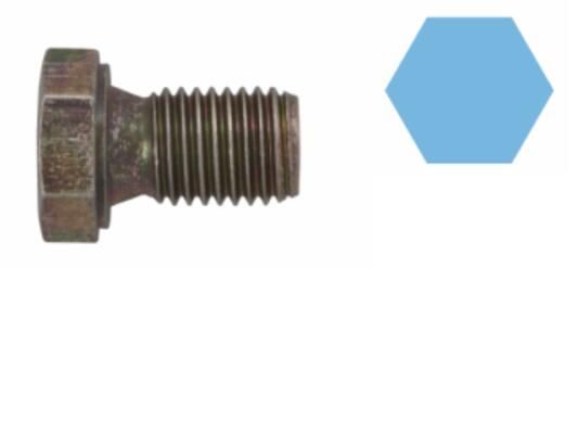 Screw Plug, oil sump BMW - 11 13 1 273 093