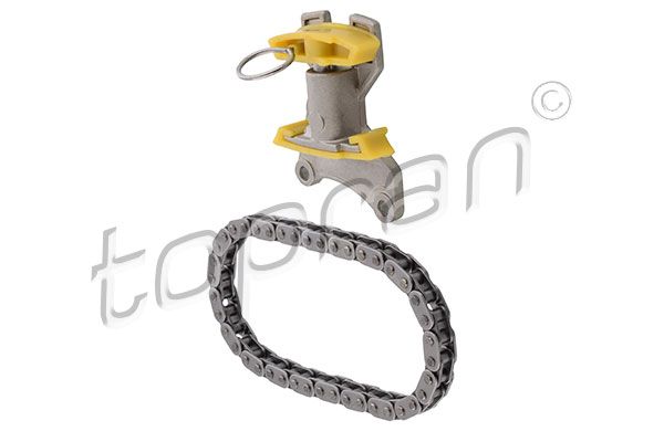 Timing Chain Kit VAG