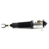 Air Suspension Strut Audi A8 02-09 esi vasak 4E0616039AA