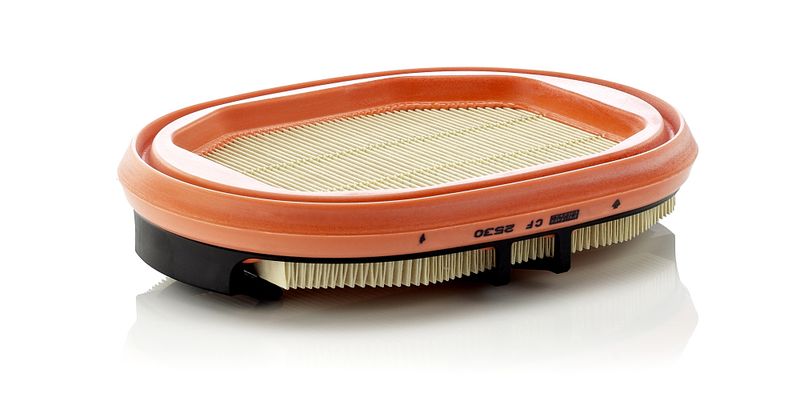 Secondary Air Filter Various