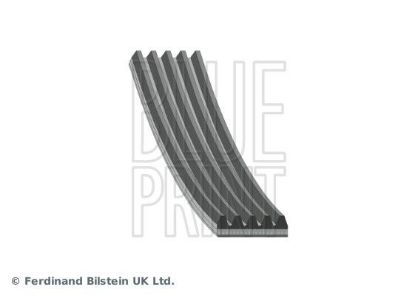 V-Ribbed Belt SUBARU 809218470