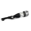 Air Suspension Strut