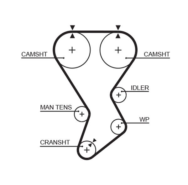 Timing Belt COLT IV (CA_A), LANCER V