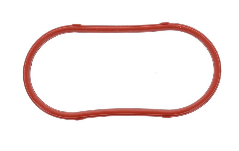 Gasket, intake manifold BMW