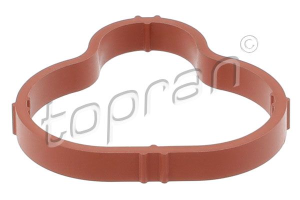 Gasket, intake manifold Opel, General Motors