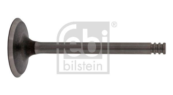 Intake Valve VW-Audi 038 109 601 E