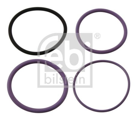 Seal Kit, injector nozzle Volvo Lkw 276948